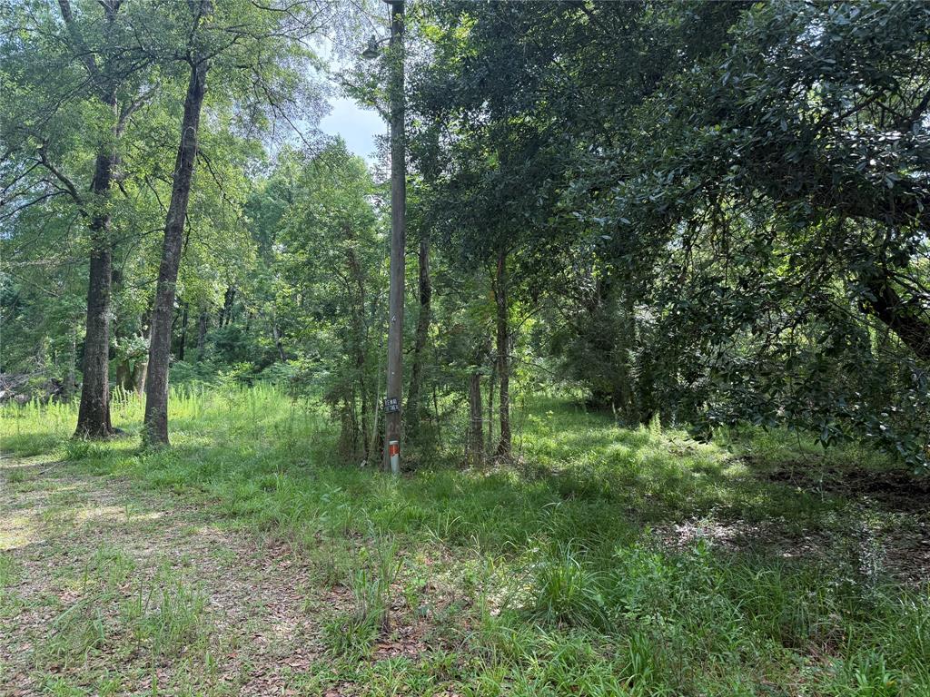 4668 Spillers Road, Lumberton, Texas image 6