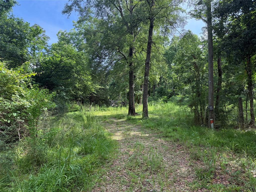 4668 Spillers Road, Lumberton, Texas image 5