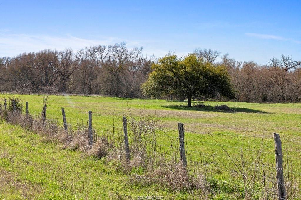 295 Bielamowicz Road, Bremond, Texas image 10