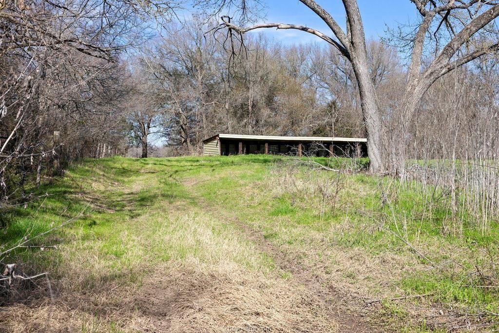 295 Bielamowicz Road, Bremond, Texas image 20