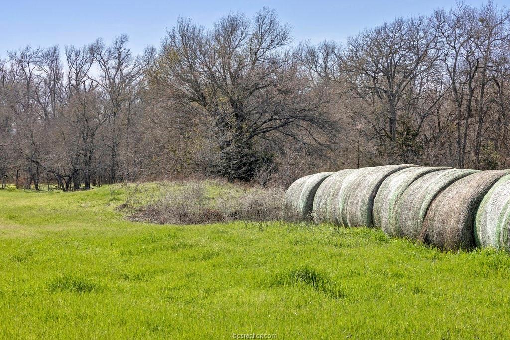 295 Bielamowicz Road, Bremond, Texas image 33