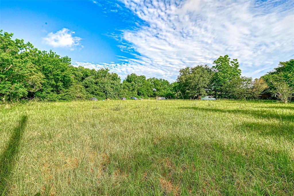 6303 Katy Hockley Cut Off Road, Katy, Texas image 7