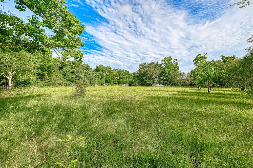 6303 Katy Hockley Cut Off Road, Katy, Texas image 6