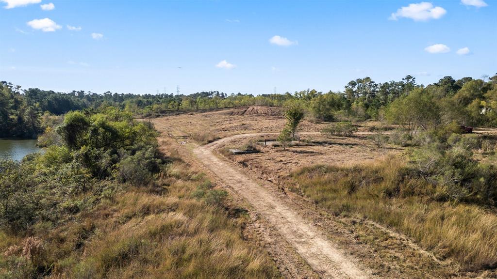 Moonshine Hill Loop, Humble, Texas image 18