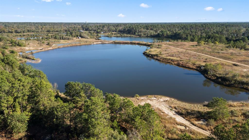 Moonshine Hill Loop, Humble, Texas image 20