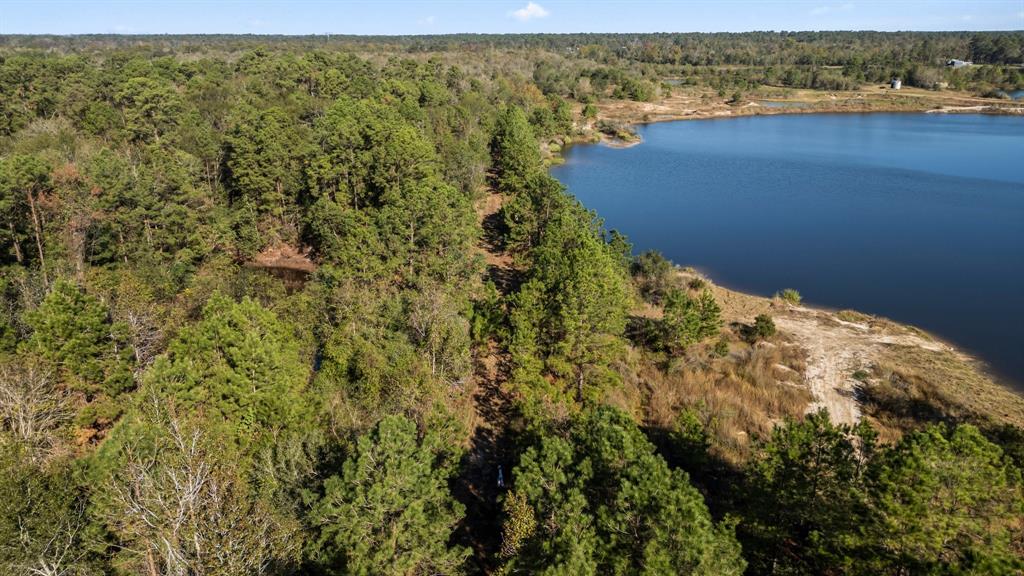 Moonshine Hill Loop, Humble, Texas image 29