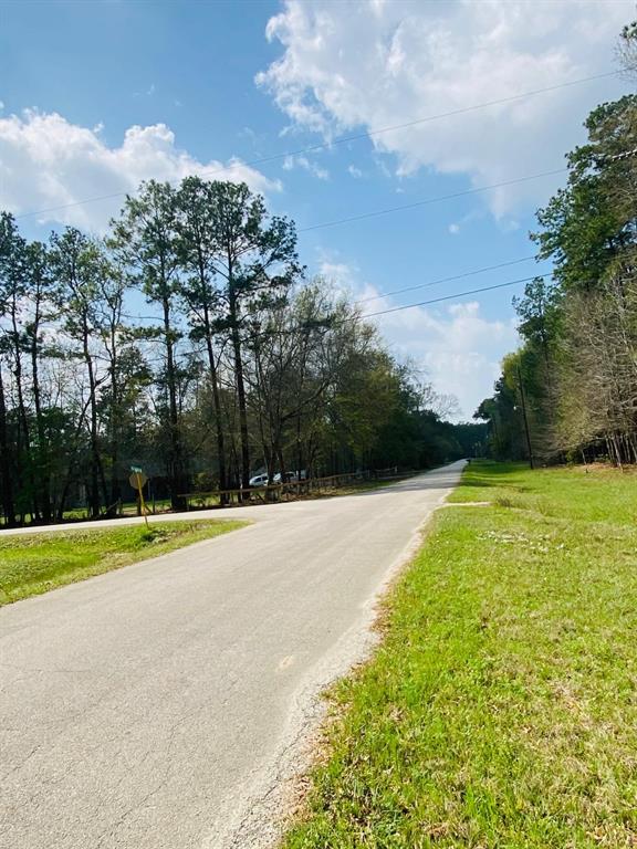 18455 Country Place Drive, Conroe, Texas image 6