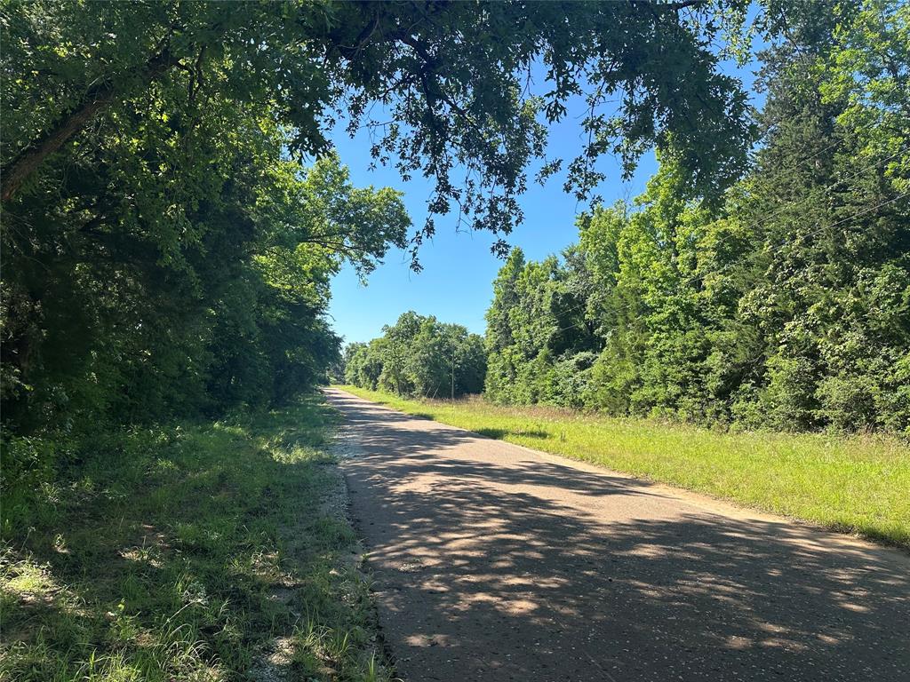 18AC Cr 219, Buffalo, Texas image 2