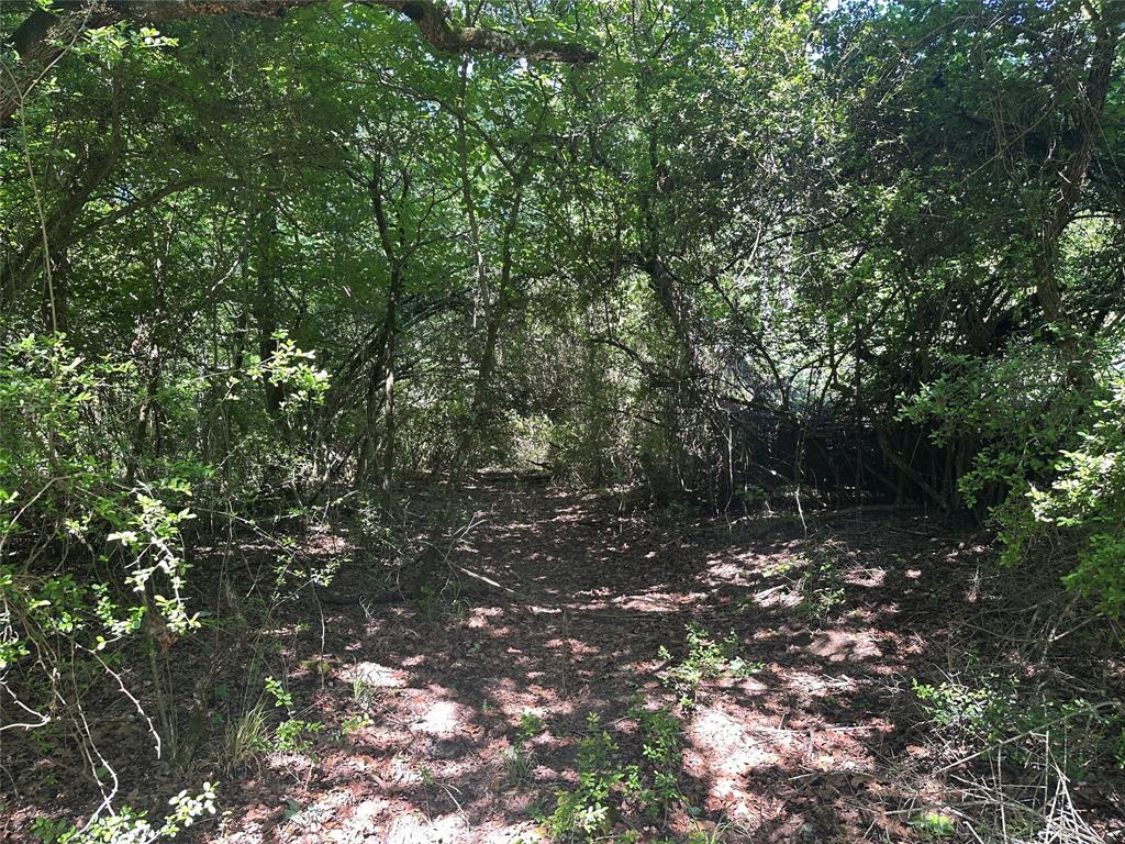 18AC Cr 219, Buffalo, Texas image 10