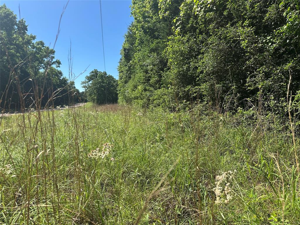 18AC Cr 219, Buffalo, Texas image 4