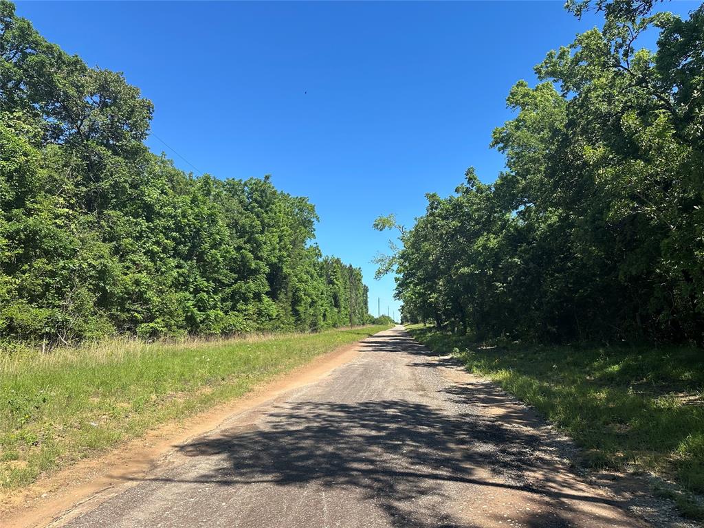 18AC Cr 219, Buffalo, Texas image 3
