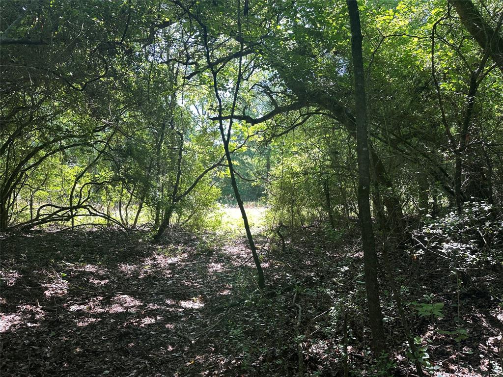 18AC Cr 219, Buffalo, Texas image 9