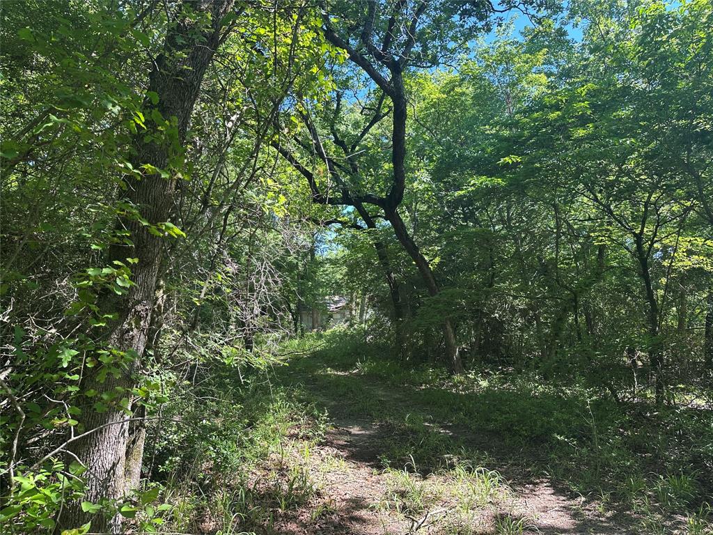 18AC Cr 219, Buffalo, Texas image 8