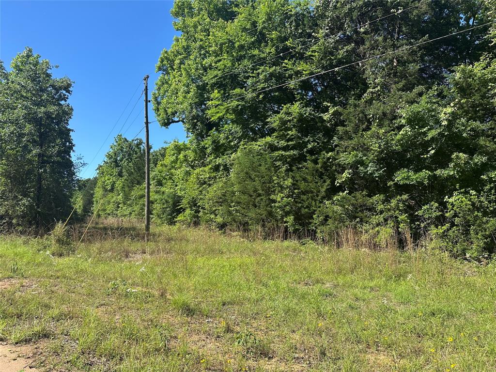 18AC Cr 219, Buffalo, Texas image 11