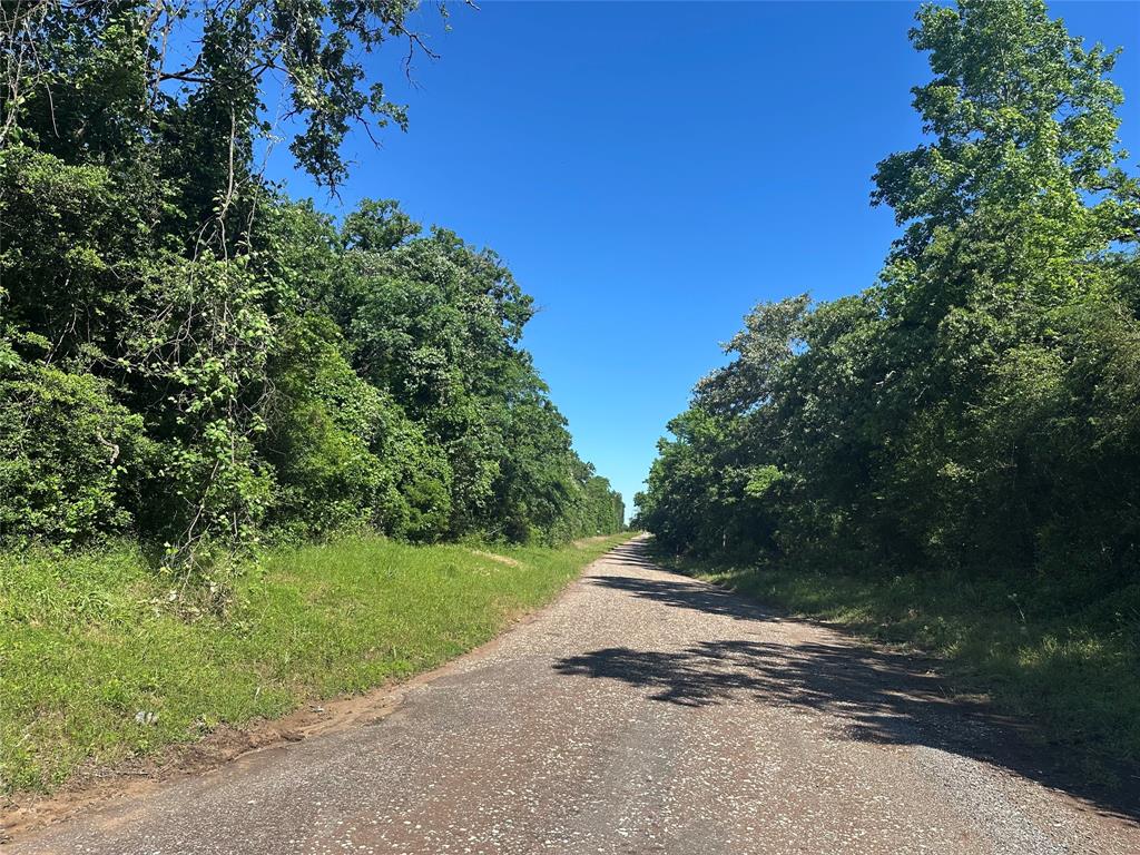 18AC Cr 219, Buffalo, Texas image 1