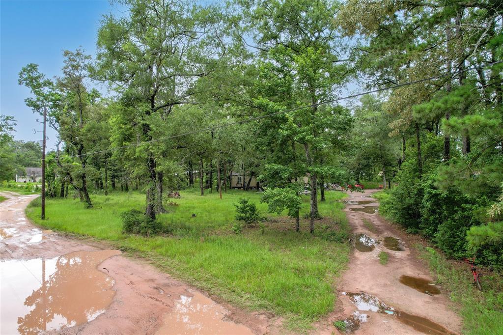 14745 Boyd Lane, Conroe, Texas image 13