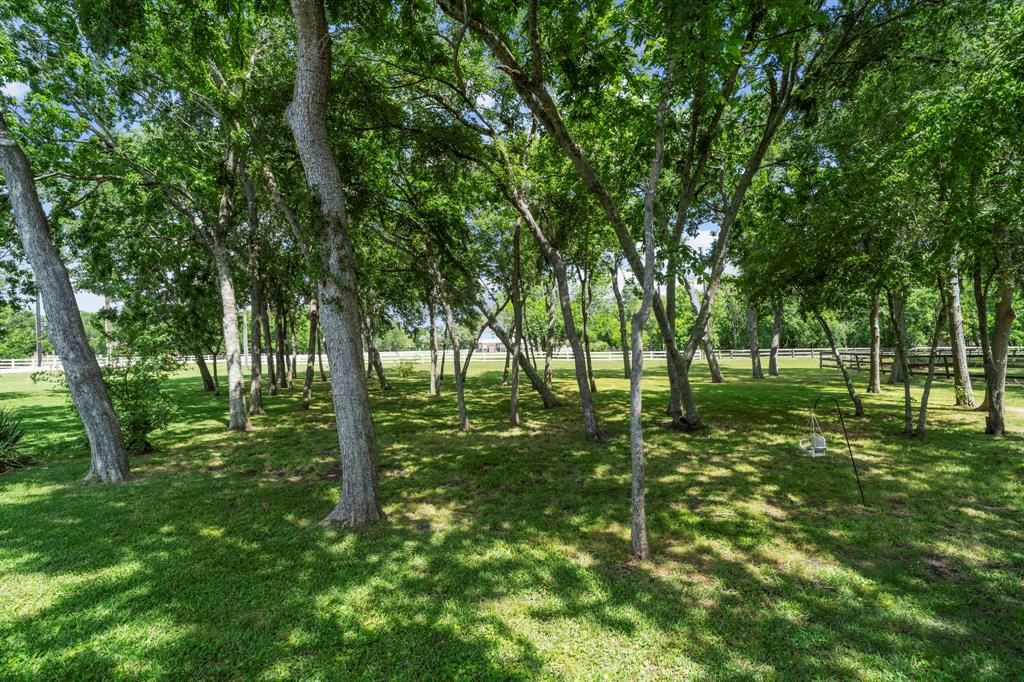 6203 Waterwalk Court, Richmond, Texas image 46