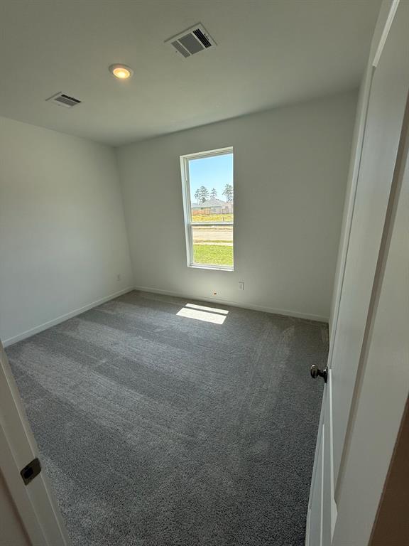 10105 Cabo Del Sol Drive, Cleveland, Texas image 14