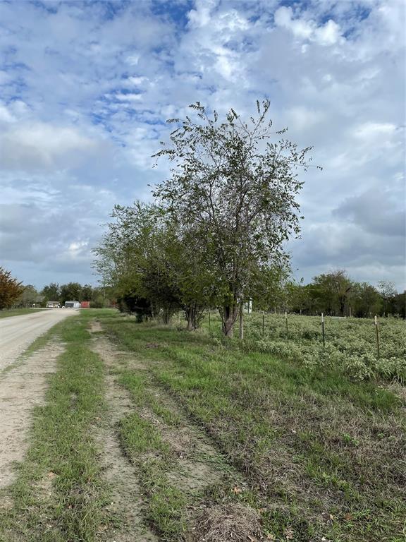 TBD 8.512 Ac Cr 131 Drive, Bedias, Texas image 9