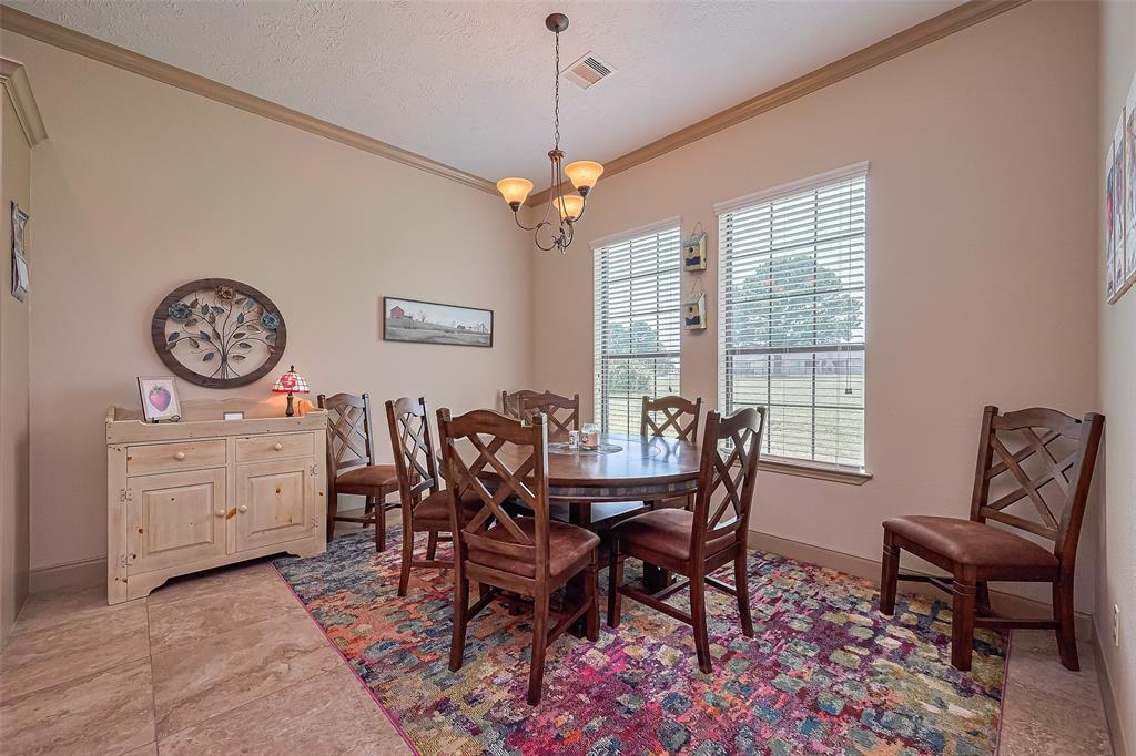 19031 Minero Lane, Montgomery, Texas image 14