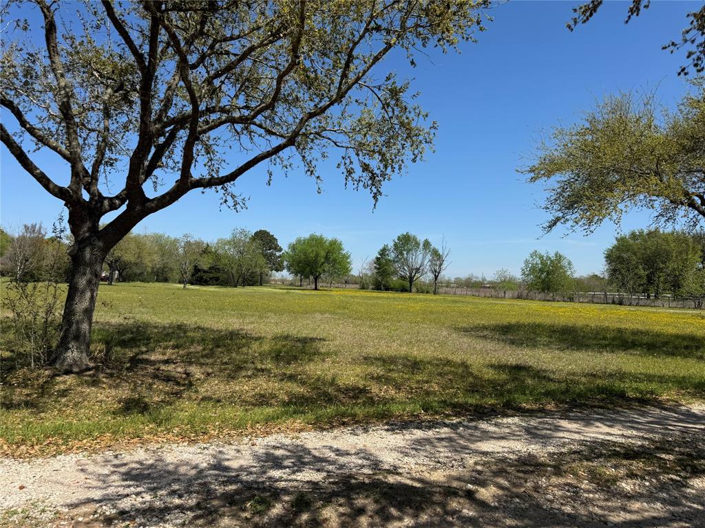 25640 Beckendorff Road, Katy, Texas image 9