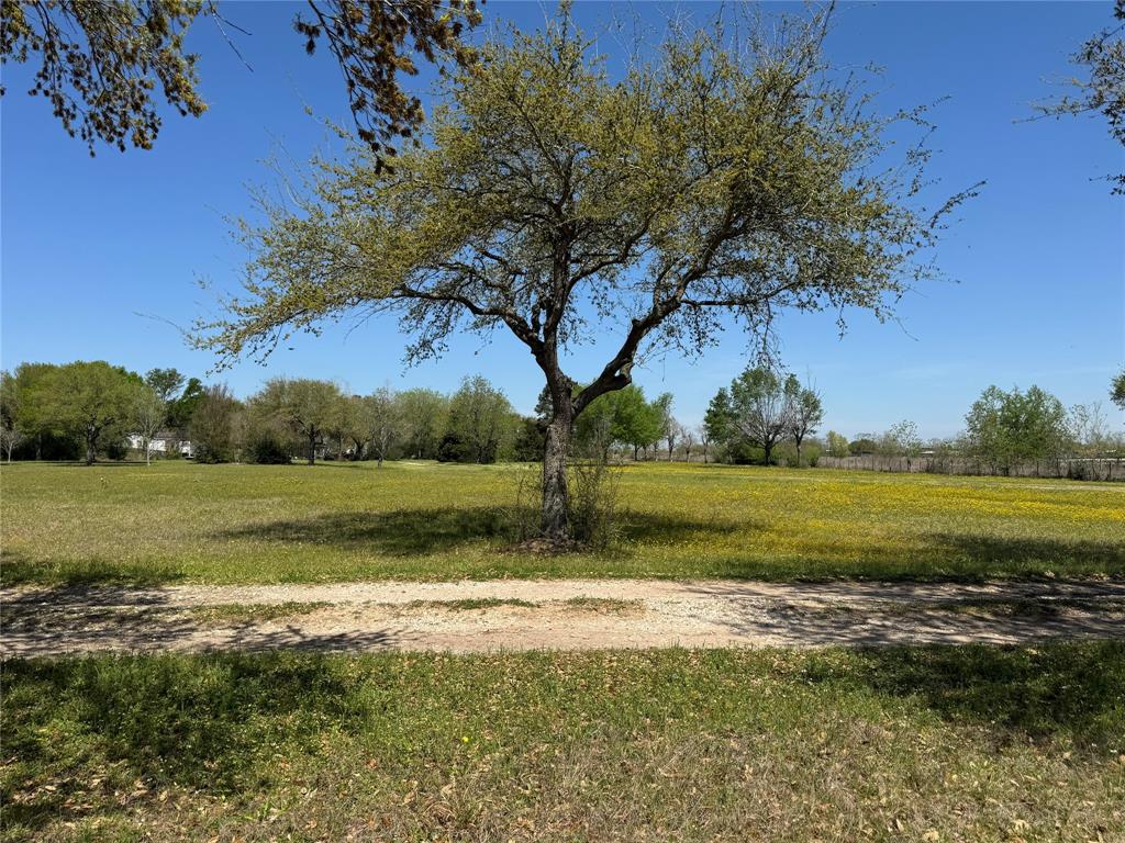 25640 Beckendorff Road, Katy, Texas image 10