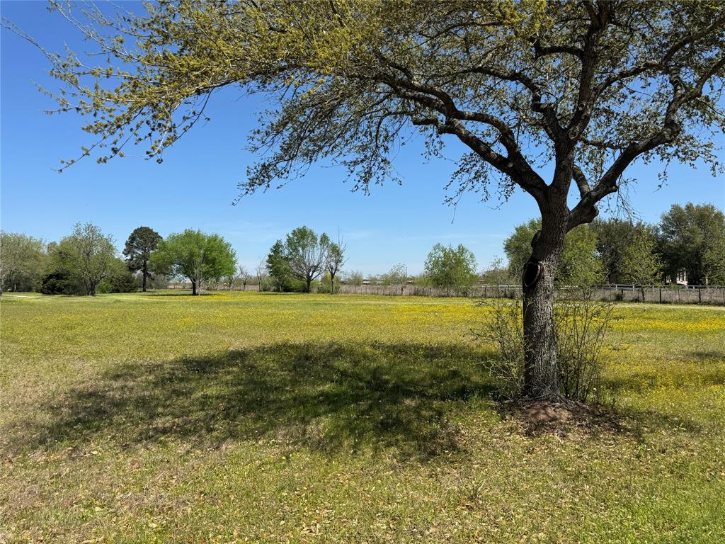 25640 Beckendorff Road, Katy, Texas image 12