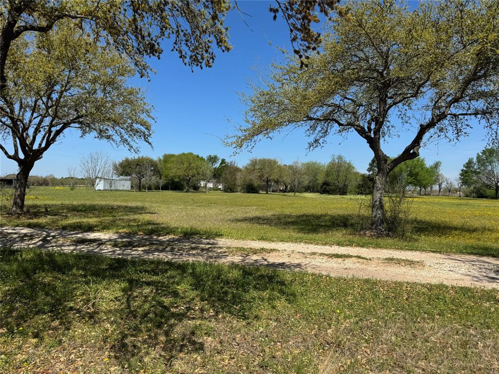25640 Beckendorff Road, Katy, Texas image 11