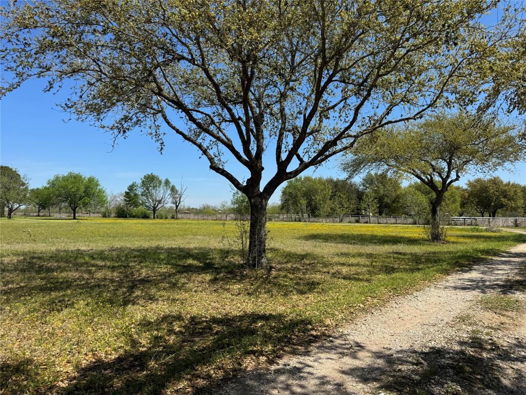 25640 Beckendorff Road, Katy, Texas image 8