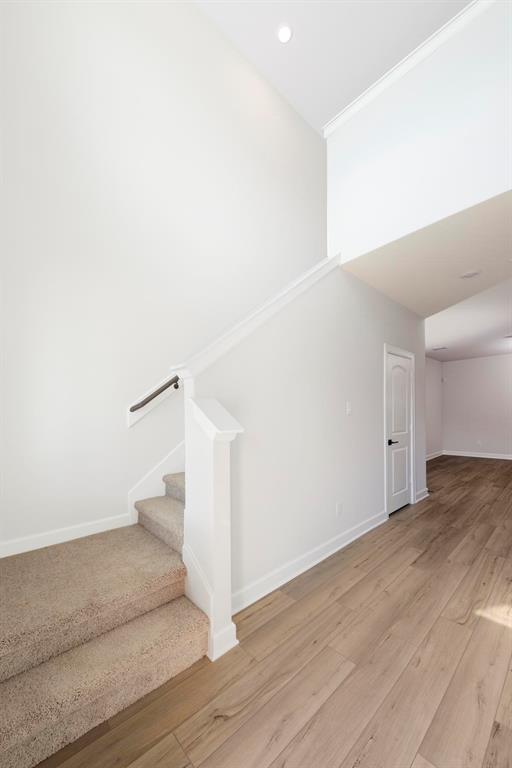 6213 White Spruce Drive
