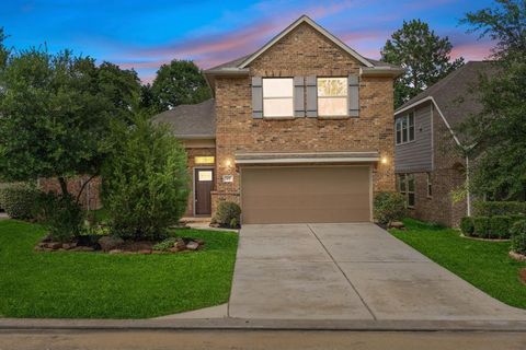 105 Logan Pass Court Montgomery TX 77316