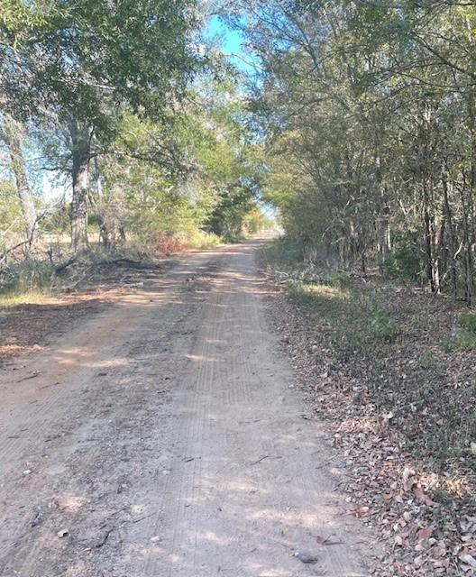 TBD Parcel 11670, Lovelady, Texas image 4