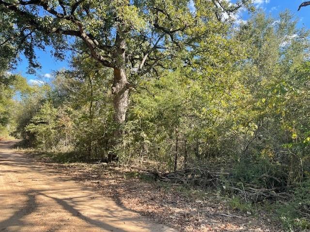 TBD Parcel 11670, Lovelady, Texas image 3