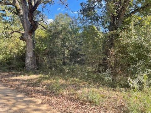TBD Parcel 11670 Lovelady TX 75851