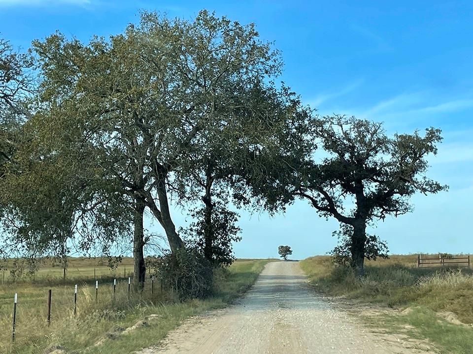 1111 Pine Ranch Road, Seguin, Texas image 8