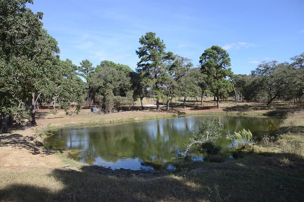 1111 Pine Ranch Road, Seguin, Texas image 9