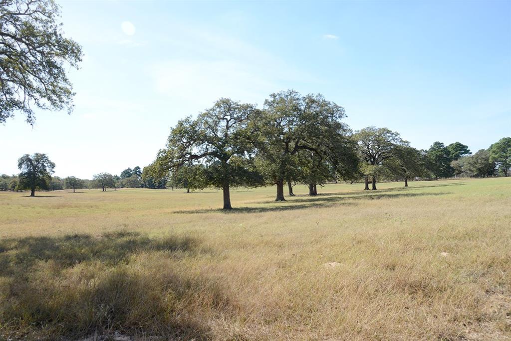 1111 Pine Ranch Road, Seguin, Texas image 12