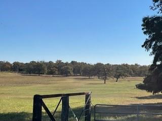 1111 Pine Ranch Road, Seguin, Texas image 10