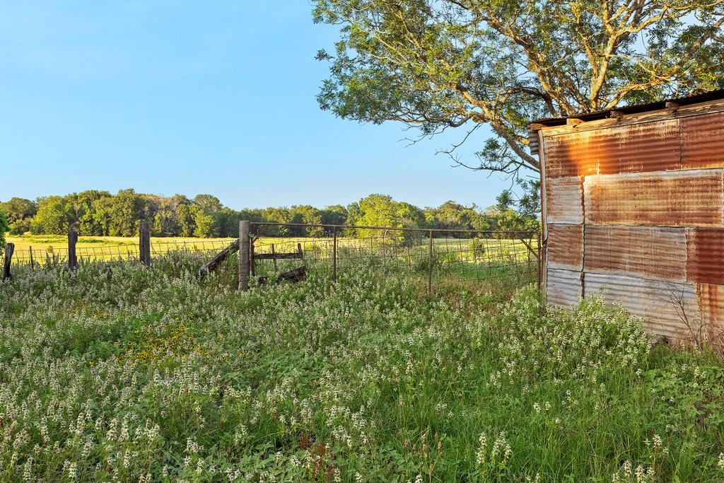 TBD Tx-36, Caldwell, Texas image 26