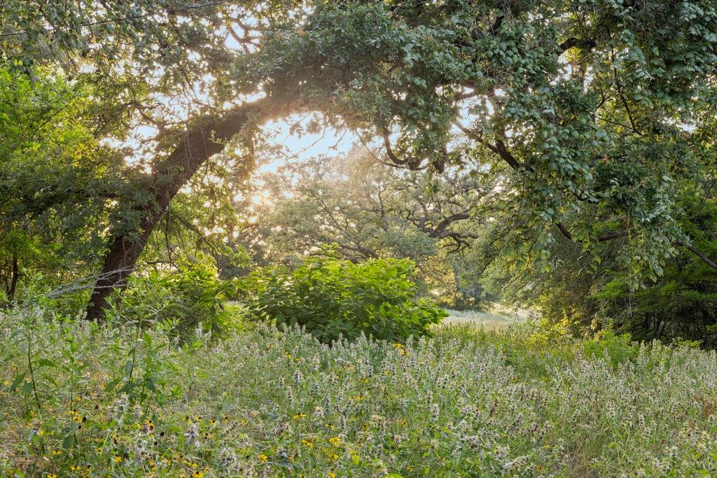 TBD Tx-36, Caldwell, Texas image 4