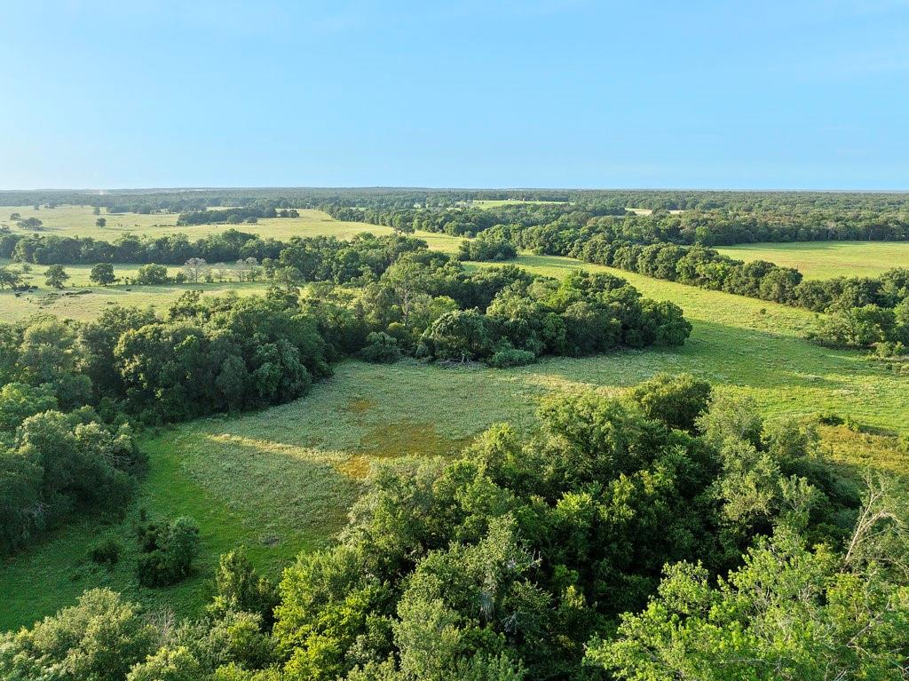 TBD Tx-36, Caldwell, Texas image 25