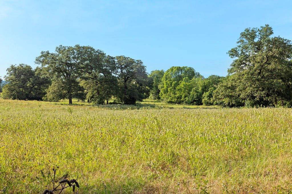 TBD Tx-36, Caldwell, Texas image 14