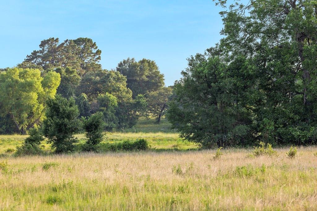 TBD Tx-36, Caldwell, Texas image 29