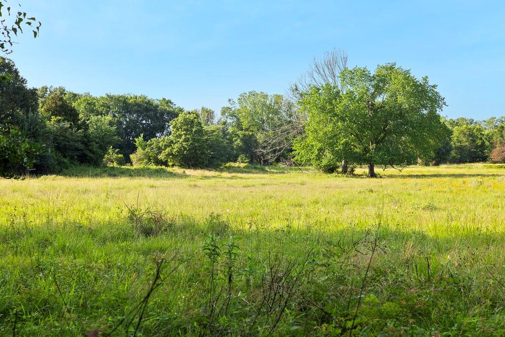 TBD Tx-36, Caldwell, Texas image 8