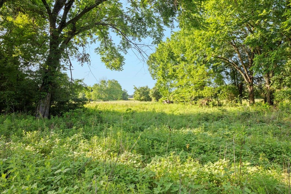 TBD Tx-36, Caldwell, Texas image 6