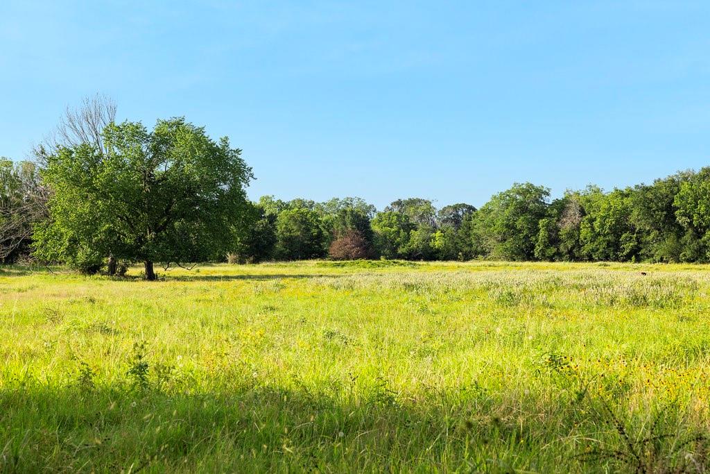 TBD Tx-36, Caldwell, Texas image 12