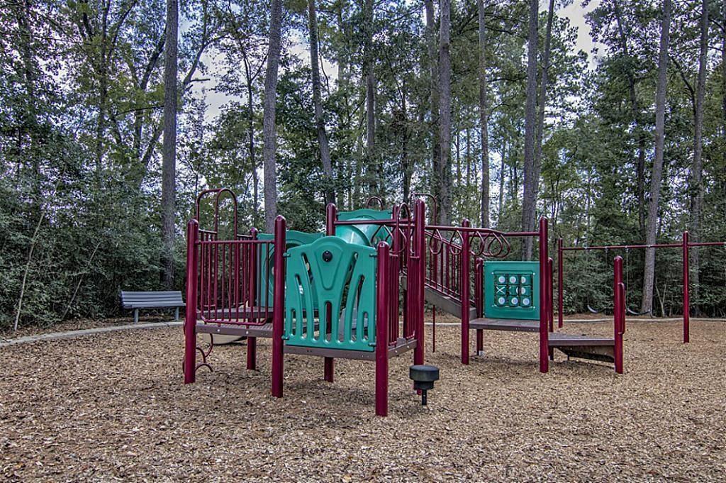 210 Black Swan Place, The Woodlands, Texas image 46