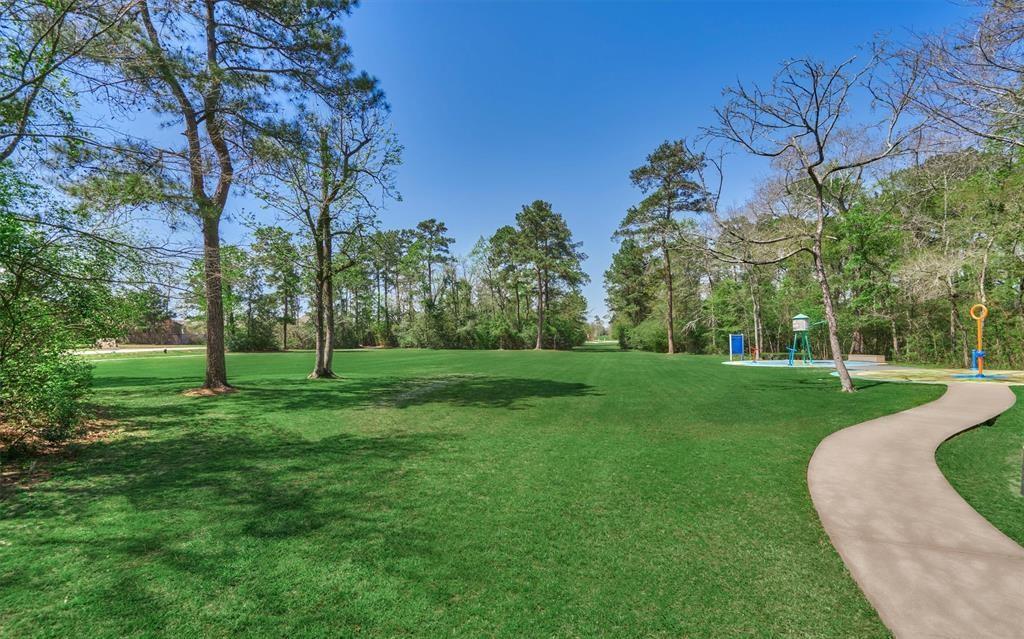 210 Black Swan Place, The Woodlands, Texas image 48