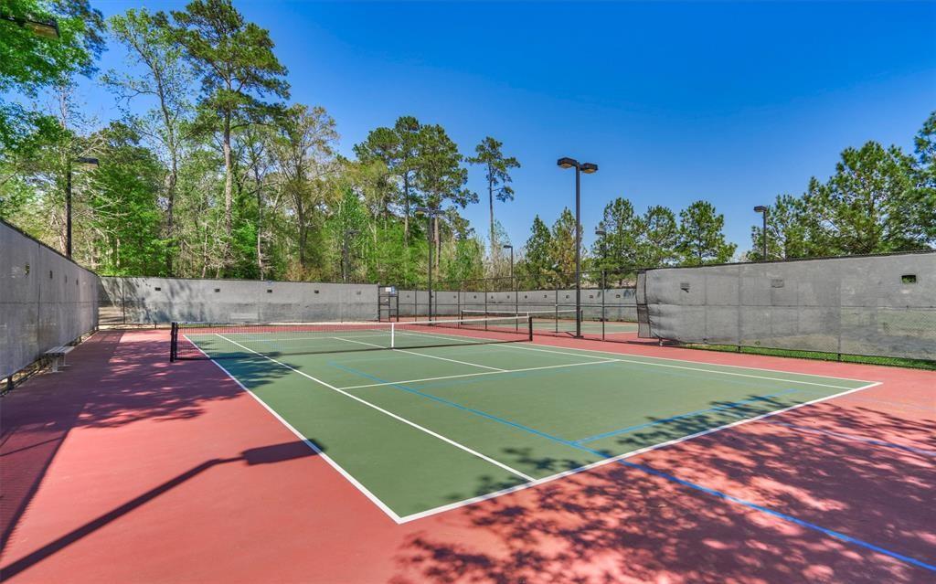210 Black Swan Place, The Woodlands, Texas image 49