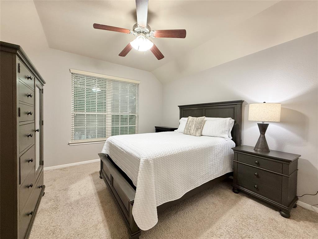 210 Black Swan Place, The Woodlands, Texas image 39